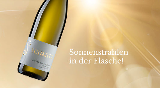 Sonnenstrahlen in der Flasche. Unser Gelber Muskateller