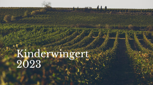 Unser Neues Projekt: Kinderwingert 2023