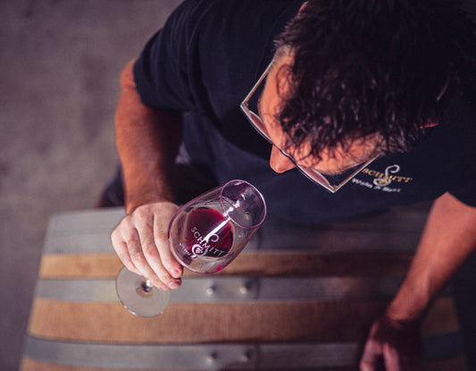 Weinprobe im Weingut